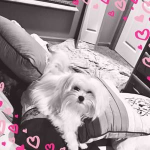 Meet your Posher, Grace